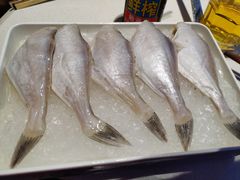 -川西坝子火锅(金沙1.0直营店)