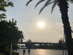 -宝安西湾红树林湿地公园