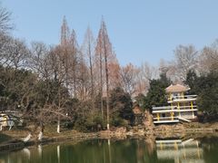 -环城公园-琥珀潭