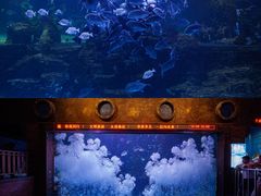 -无锡动物园·太湖欢乐园