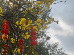 -洲头咀公园