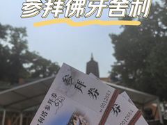 -八大处公园