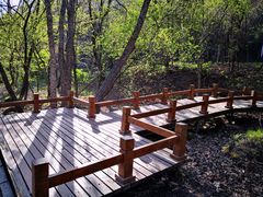 -吉林市朱雀山国家森林公园