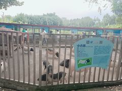 -东莞香市动物园