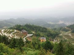 -紫鹊界梯田景区