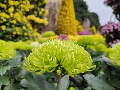 -南山植物园