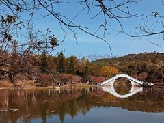 -田野绿世界