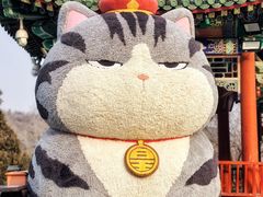 -八大处公园