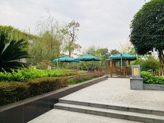 -成都安仁福朋喜来登酒店