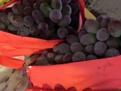 -马陆小张葡萄园农家乐