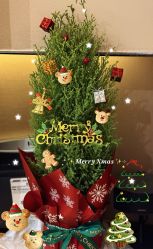 -蜜悦居月子中心(国金中心店)