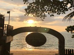 -卷心菜和避孕套餐厅(Pattaya)