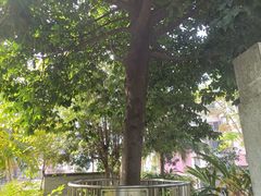 -广州神农草堂中医药博物馆