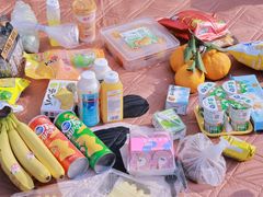 -黄海国家森林公园