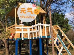 -广东花都香草世界旅游度假区