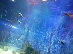 -沈阳海洋探索中心