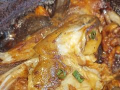 秘制石锅碟鱼头-海派美食·家宴海鲜青岛菜·石锅鲽鱼头(东方城店)