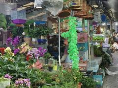 -曲阳花鸟市场(曲阳路店)