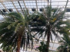 -龙达温泉生态城