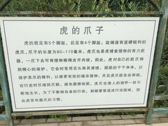 -横道河子东北虎林园