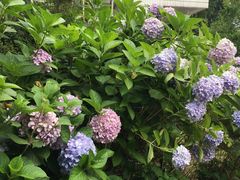 -江南大学附属医院(北院区)