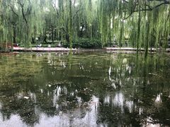 -玲珑塔公园