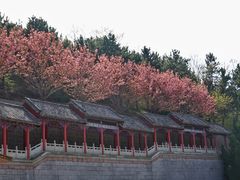 -石岛赤山风景区