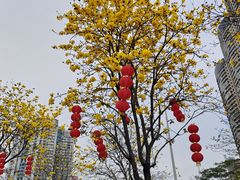 -洲头咀公园