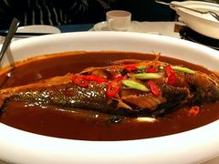 红烧大黄鱼-松鹤楼·非遗·苏帮菜(融科店)