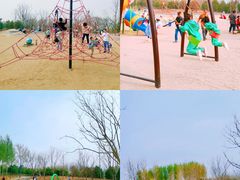 -东郊湿地公园