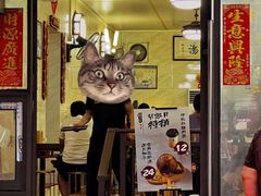 -信行丰炖品皇店(光孝路店)