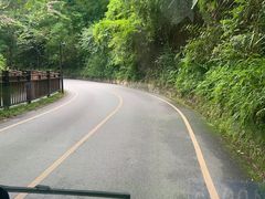 -西双版纳原始森林公园