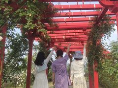 -都江堰玫瑰花溪谷
