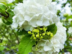 -大龙山(地铁站)