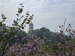 -冰泉豆浆馆(白云山总店)
