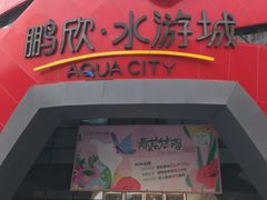 -鹏欣水游城