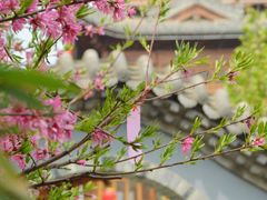 -渭南桃花源民俗文化园