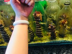 -Isla Sugbu Seafood City