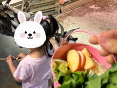 -正佳雨林生态植物园