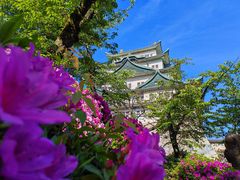-名古屋城