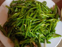 炒海菜-苍洱春饭店