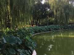 景点-丰台花园