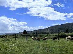 -塞罕坝国家级自然保护区
