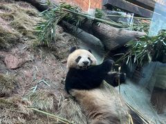 -乐和乐都主题乐园