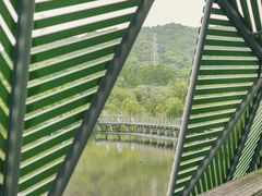 -西湖风景区-江洋畈生态公园