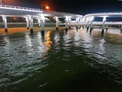 -演武大桥观景平台