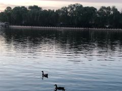 -后海公园