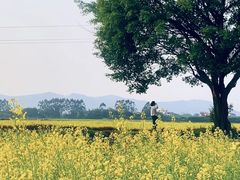 -秦岭风景区