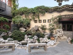 -富春茶社(国庆路店)