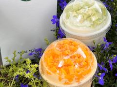 -茉酸奶(春熙路店)